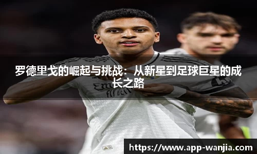 玩加电竞官方正版网站